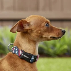 Frisco American Flag Polyester Dog Collar -FRISCO Sales 172487 PT2. SY630 V1629152228