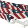 Frisco American Flag Polyester Dog Leash