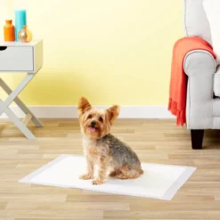 Frisco Dog Training Pads 21 x 21-in, 100 count, Unscented 13 Frisco Dog Training Pads 21 x 21-in, 100 count, Unscented -FRISCO Sales 173778 PT5. SY630 V1624488228