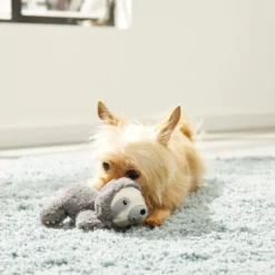 Frisco Plush Squeaking Sloth Dog Toy -FRISCO Sales 174680 PT2. SY630 V1573492414