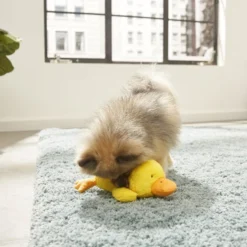 Frisco Plush Squeaky Duck Dog Toy -FRISCO Sales 174684 PT2. SY630 V1573492408