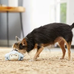 Frisco Plush Squeaking Lamb Dog Toy -FRISCO Sales 174686 PT2. SY630 V1573597393