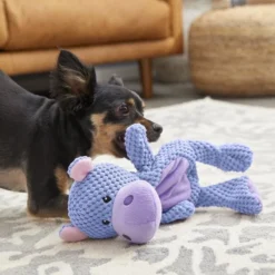 Frisco Textured Plush Squeaking Hippo Dog Toy -FRISCO Sales 174697 PT2. SY630 V1573492384