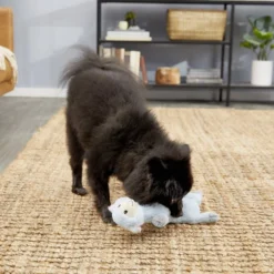 Frisco Skinny Plush Squeaking Lamb Dog Toy -FRISCO Sales 174711 PT2. SY630 V1573597396