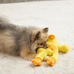 Frisco Plush with Inside Rope Squeaking Duck Dog Toy -FRISCO Sales 174723 PT2. SY630 V1573492709