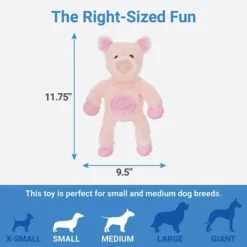 Frisco Plush with Inside Rope Squeaking Pig Dog Toy -FRISCO Sales 174725 PT1. SY630 V1574719142