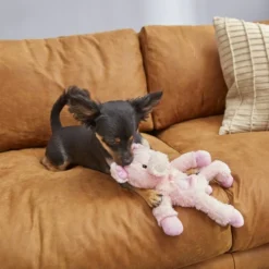 Frisco Plush with Inside Rope Squeaking Pig Dog Toy -FRISCO Sales 174725 PT2. SY630 V1573492728