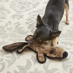 Frisco Flat Plush Squeaking Beaver Dog Toy -FRISCO Sales 174729 PT2. SY630 V1573492725