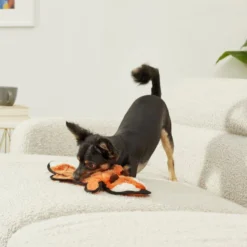 Frisco Flat Plush Squeaking Fox Dog Toy 7 Frisco Flat Plush Squeaking Fox Dog Toy -FRISCO Sales 174733 PT2. SY630 V1573492688