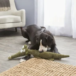 Frisco Wagazoo Plush Squeaking Triceratops Dog Toy -FRISCO Sales 174747 PT2. SY630 V1573492752