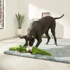Frisco Wagazoo Plush Squeaking Alligator Dog Toy -FRISCO Sales 174751 PT2. SY630 V1573492762