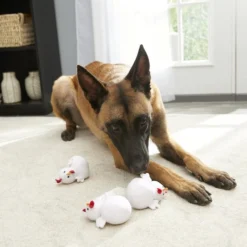 Frisco Hide & Seek Chicken Dog Toy Refills, 3-pack -FRISCO Sales 174764 PT2. SY630 V1574271542