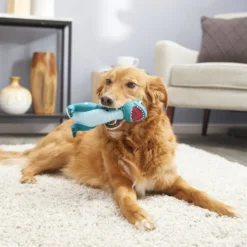 Frisco Latex Squeaky Dinosaur Dog Toy -FRISCO Sales 174770 PT2. SY630 V1573492793