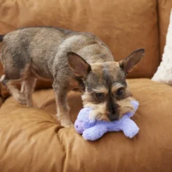 Frisco Plush Squeaking Hippo Dog Toy 7 Frisco Plush Squeaking Hippo Dog Toy -FRISCO Sales 175407 PT2. SY630 V1573492808