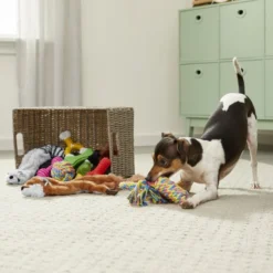 Frisco Rope, Plush, & TPR Bundle Dog Toy, 10-Pack -FRISCO Sales 177846 PT2. SY630 V1573143782