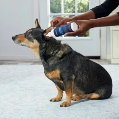 Frisco Advanced Dog, Cat & Horse Ear Cleanser, 8-oz bottle -FRISCO Sales 178703 PT3. SY630 V1581460105