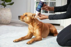 Frisco Antiseptic Dog, Cat & Horse Ear Flush Rinse -FRISCO Sales 178705 PT3. SY630 V1582124328