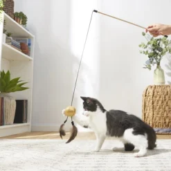 Frisco Sparkle Ball Glitter Teaser Cat Toy -FRISCO Sales 183254 PT3. SY630 V1573748308