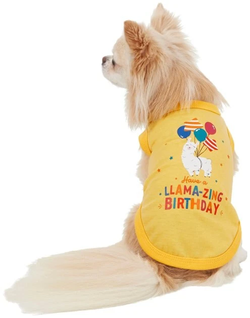 Frisco Llama-zing Birthday Dog & Cat T-Shirt 3 Frisco Llama-zing Birthday Dog & Cat T-Shirt