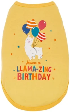 Frisco Llama-zing Birthday Dog & Cat T-Shirt 9 Frisco Llama-zing Birthday Dog & Cat T-Shirt -FRISCO Sales 191240 PT2. SY630 V1582053523