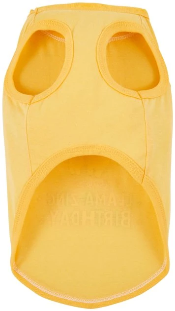 Frisco Llama-zing Birthday Dog & Cat T-Shirt 6 Frisco Llama-zing Birthday Dog & Cat T-Shirt - Image 4