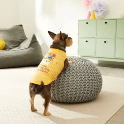 Frisco Llama-zing Birthday Dog & Cat T-Shirt 11 Frisco Llama-zing Birthday Dog & Cat T-Shirt -FRISCO Sales 191240 PT4. SY630 V1582053521