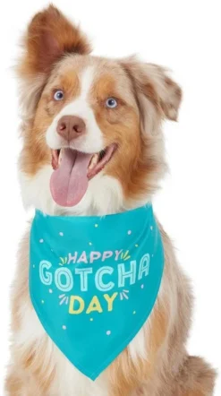 Frisco Happy Gotcha Day Dog & Cat Bandana