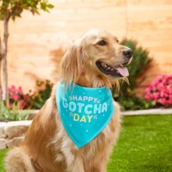 Frisco Happy Gotcha Day Dog & Cat Bandana -FRISCO Sales 191247 PT3. SY630 V1586899165