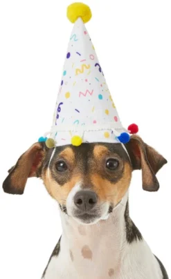 Frisco Confetti Dog & Cat Birthday Hat