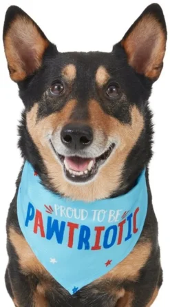 Frisco Pawtriot Dog & Cat Bandana