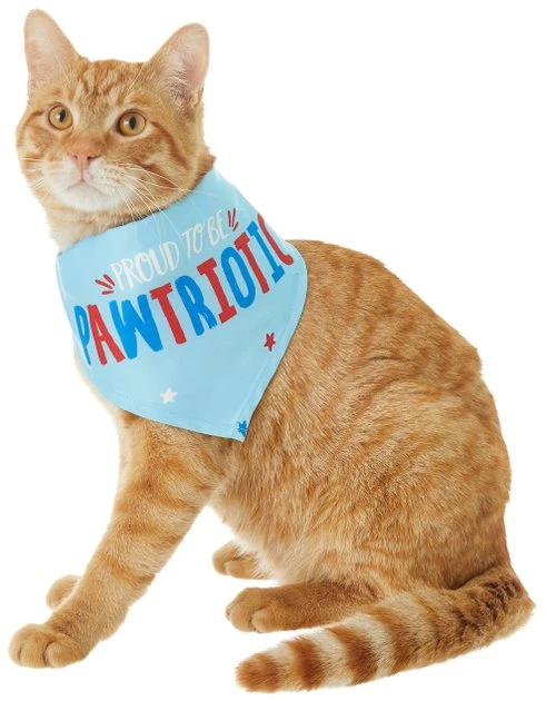 Frisco Pawtriot Dog & Cat Bandana 5 Frisco Pawtriot Dog & Cat Bandana - Image 3