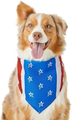 Frisco Stars & Stripes Dog & Cat Bandana -FRISCO Sales 191288 PT3. SY630 V1632420375