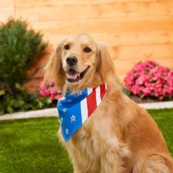 Frisco Stars & Stripes Dog & Cat Bandana -FRISCO Sales 191288 PT4. SY630 V1632423083