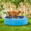 Frisco Outdoor Dog Swimming Pool