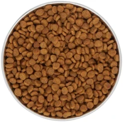 Frisco Heavy Duty Non-Skid Saucer Cat Bowl -FRISCO Sales 204461 PT4. SY630 V1599240354