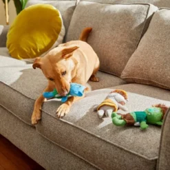 Frisco Mythical Mates Troll Plush Squeaking Dog Toy 7 Frisco Mythical Mates Troll Plush Squeaking Dog Toy -FRISCO Sales 204513 PT2. SY630 V1583271249