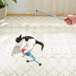 Frisco Mythical Mates Gnome Teaser Cat Toy with Catnip -FRISCO Sales 204545 PT3. SY630 V1583271522