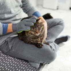 Frisco Dog & Cat Grooming Glove, Right Hand -FRISCO Sales 206845 PT6. SY630 V1610762805