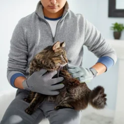 Frisco Dog & Cat Adjustable Grooming Gloves -FRISCO Sales 206847 PT6. SY630 V1610768190