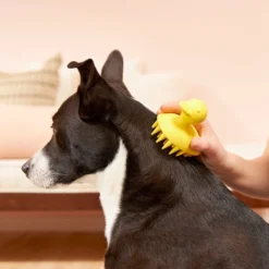 Frisco Rubber Duckie Dog & Cat Curry Brush -FRISCO Sales 206849 PT7. SY630 V1600915945