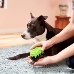 Frisco Bone Dog Curry Brush -FRISCO Sales 206851 PT8. SY630 V1600915961