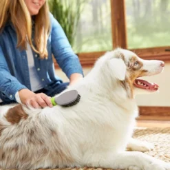 Frisco Cat & Dog Bristle Brush, One-Size -FRISCO Sales 206859 PT8. SY630 V1600915880