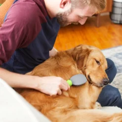 Frisco Cat & Dog Pin Brush, One-Size -FRISCO Sales 206861 PT7. SY630 V1600915905