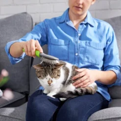 Frisco Cat & Dog Pin Brush, One-Size -FRISCO Sales 206861 PT8. SY630 V1600915974