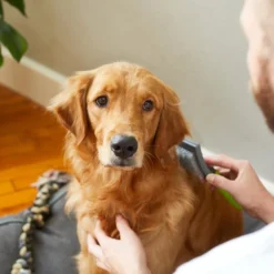 Frisco Self-Cleaning Slicker Dog Brush 11 Frisco Self-Cleaning Slicker Dog Brush -FRISCO Sales 206863 PT8. SY630 V1600915991