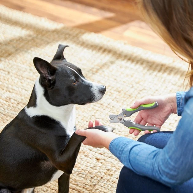 Frisco Dog Nail Trimmer 5 Frisco Dog Nail Trimmer - Image 3