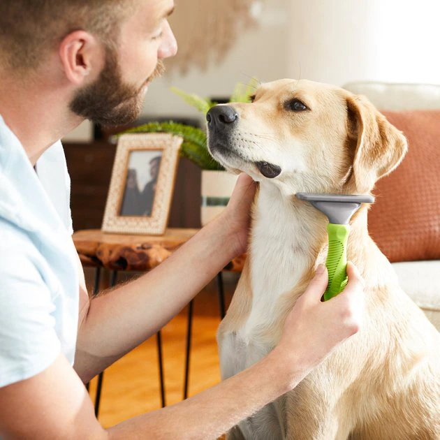 Frisco Deshedding Dog & Cat Brush 5 Frisco Deshedding Dog & Cat Brush - Image 3