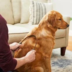 Frisco Shedding Blade Dog Brush, One Size 10 Frisco Shedding Blade Dog Brush, One Size -FRISCO Sales 206895 PT7. SY630 V1600915940