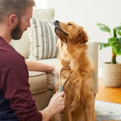 Frisco Shedding Blade Dog Brush, One Size 11 Frisco Shedding Blade Dog Brush, One Size -FRISCO Sales 206895 PT8. SY630 V1600915985