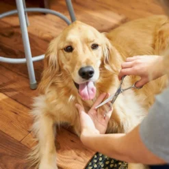 Frisco Curved-Tip Dog & Cat Shears -FRISCO Sales 206897 PT8. SY630 V1600915989